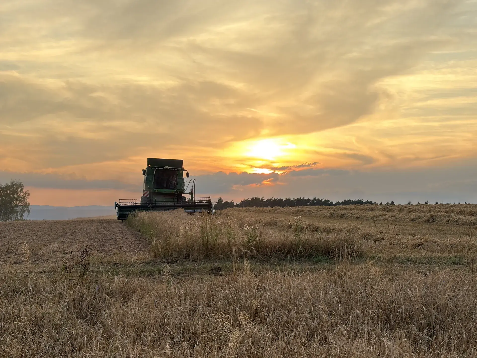 maehdrescher-sonnenuntergang